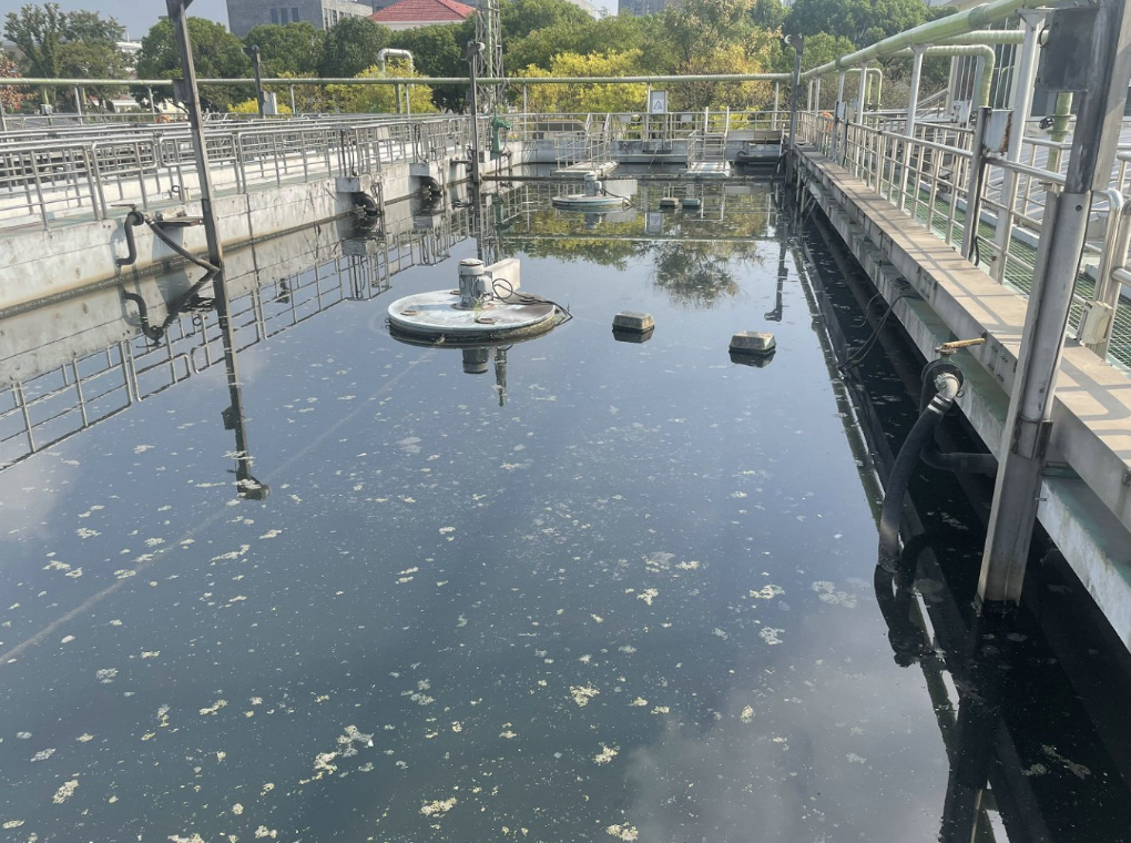 高氨氮污水处理